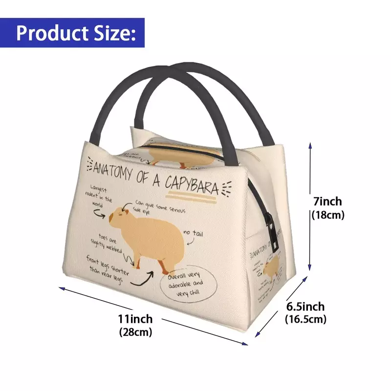 Anatomy Of Capybara Lunch Bag Animals Convenient Lunch Box School Print Cooler Bag Leisure Oxford Thermal Lunch Bags
