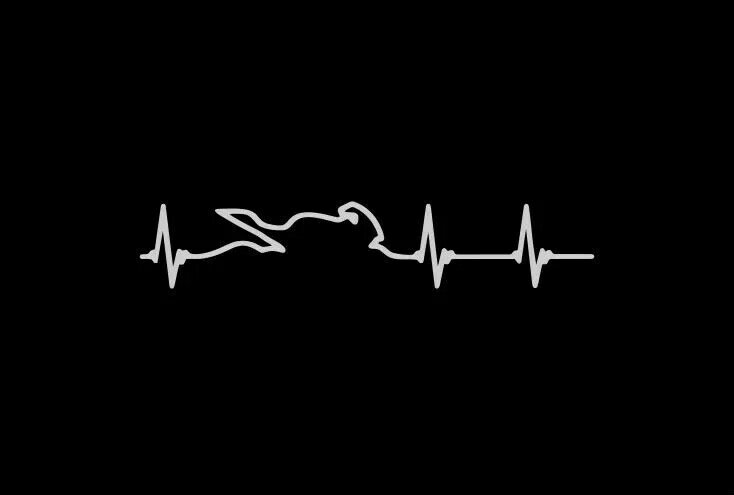 Car Sticker Funny Heart Electrocardiogram of Race Players Accessories Vinyl Car Styling Cover Scratches Motorcycl