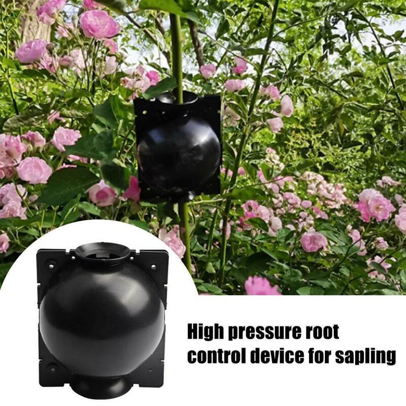 Plant Rooting Ball for Garden Caixa de cultivo de enraizamento Caso de reprodução de enxerto Caixa de cultivo de raiz, 5 8cm de diâmetro, 5PCs, 8cm, 12cm
