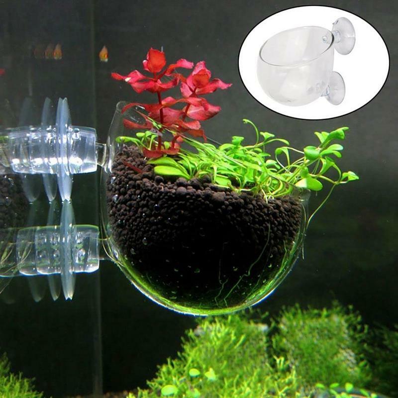 Pot tanaman akuarium gelas silinder dengan pengisap untuk menumbuhkan biji tanaman air lumut karang tangki ikan aksesori dekorasi