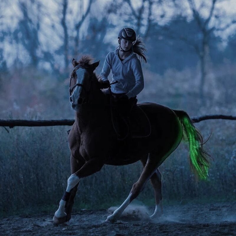 100ซม.LED Horse ขี่หางตกแต่งหลอดส่องสว่างขี่ม้าตกแต่ง Night สามารถมองเห็นได้ด้วยสะท้อนแสงบาร์สายรัด