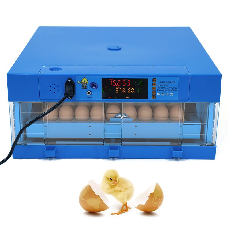 64 Inkubator do jaj AC 110 V/DC 12 V 80 W Automatyczny cyfrowy wylęgarnia do jaj kurzych Kontrola temperatury do wylęgu