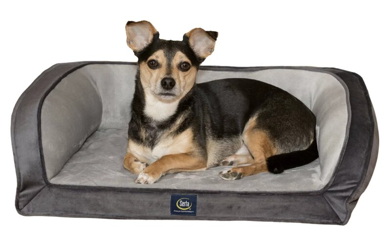 Gel Memory Foam Quilted Ortho Couch Dog Bed, Small, Grey