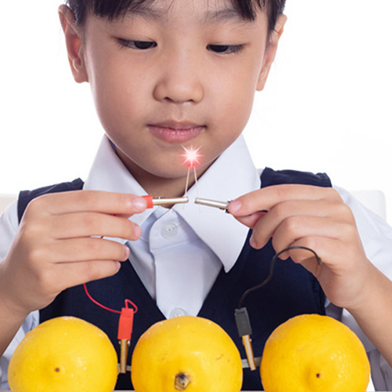2 set di giocattoli scientifici per studenti di frutta educativi per esperimenti scientifici di frutta