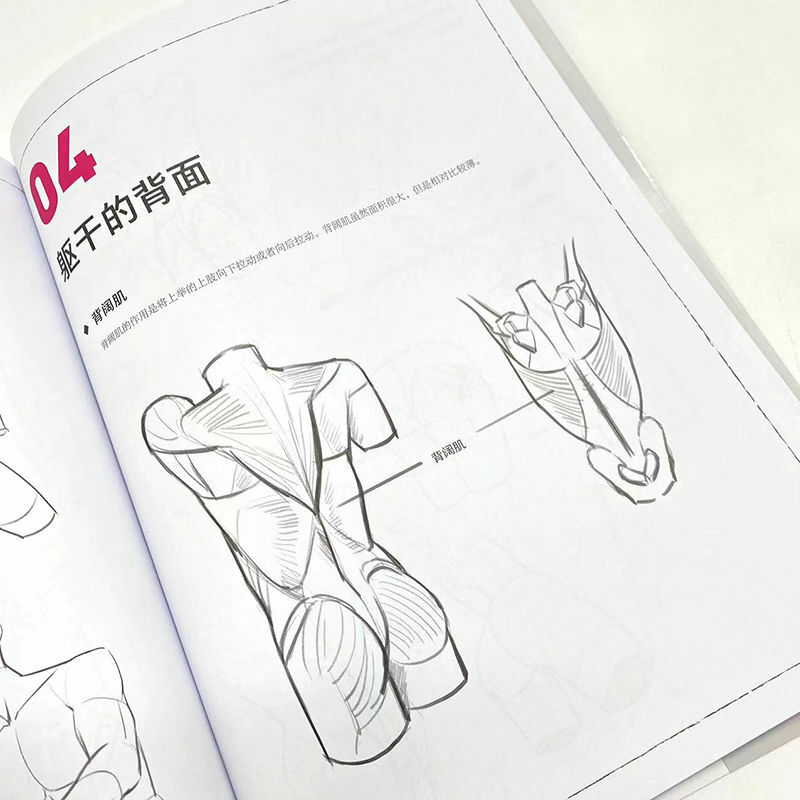 Verständnis der menschlichen Körpers truktur: dynamisches Training Perspektive Prinzip Zeichnung Grundlagen Anime Malerei Tutorial Kunstbuch