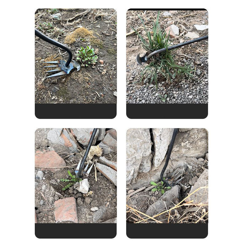 Alat berkebun Pencabut rumput, alat berkebun multifungsi Stainless Steel Pencabut rumput akar tanah longgar untuk halaman Bonsai