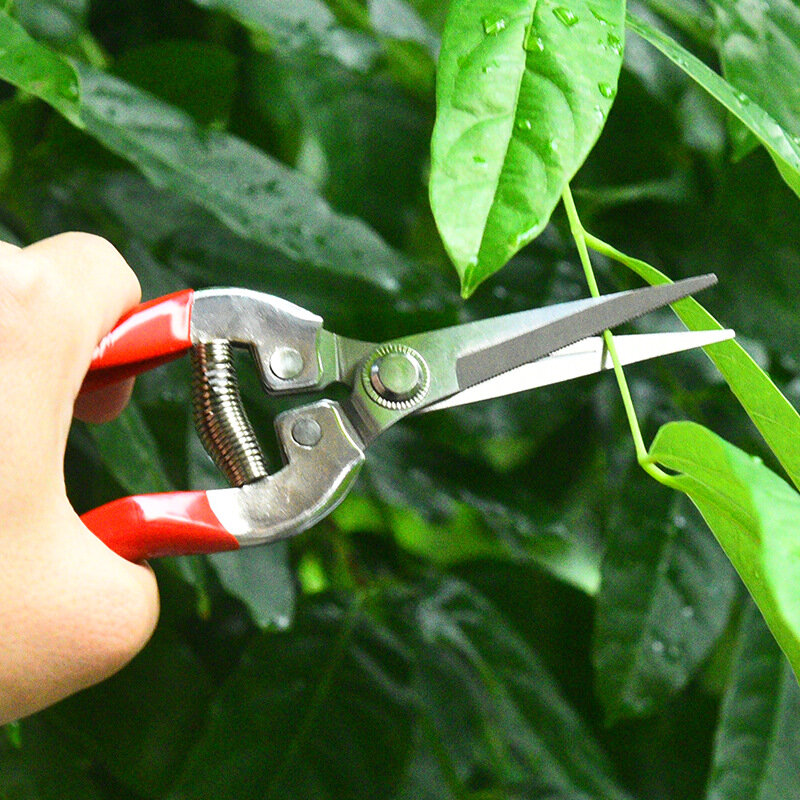 ステンレス鋼の剪定はさみ,庭の枝を摘むための園芸工具