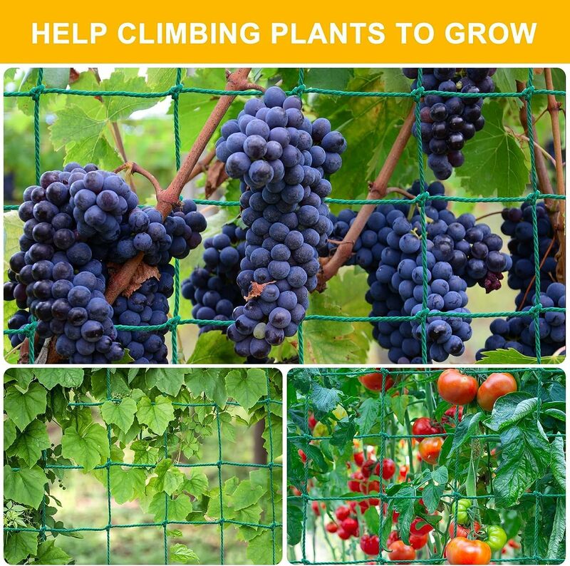 1 Pak tanaman jaring teralis taman, tahan lama mendukung jaring nilon tugas berat untuk mendaki tanaman tomat buah sayuran anggur