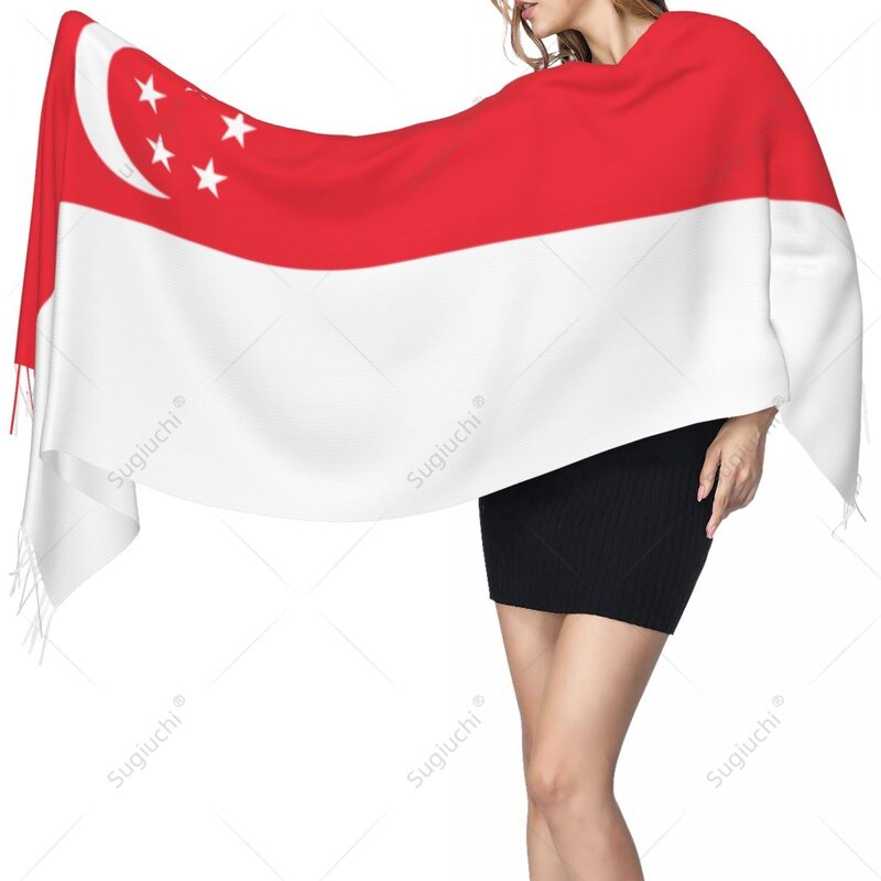 Сингапурская модель, Пашмина, теплая, оригинальная, многофункциональная, унисекс, весна-зима