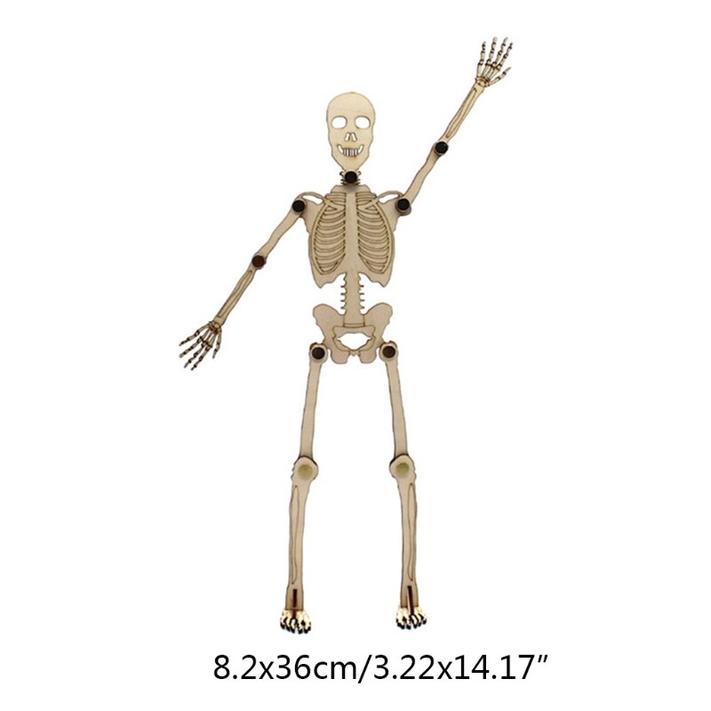Diy modelo esqueleto humano anatomia quebra-cabeça a brinquedo desenvolvimento estrutura reconhecimento ensino