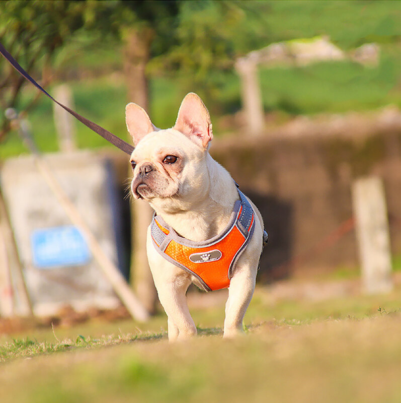 Anti-Sprint Hondentuig I-Vormige Licht Ademende Oxford Mesh Stoffen Hondentuig Voor Kleine Middelgrote Honden Accessoires