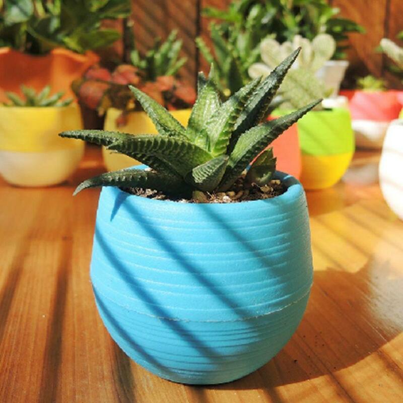 Mini pot de fleurs pour décoration de jardin, bonsaï mignon, plantes succulentes, jardinière en acier inoxydable, bureau à la maison