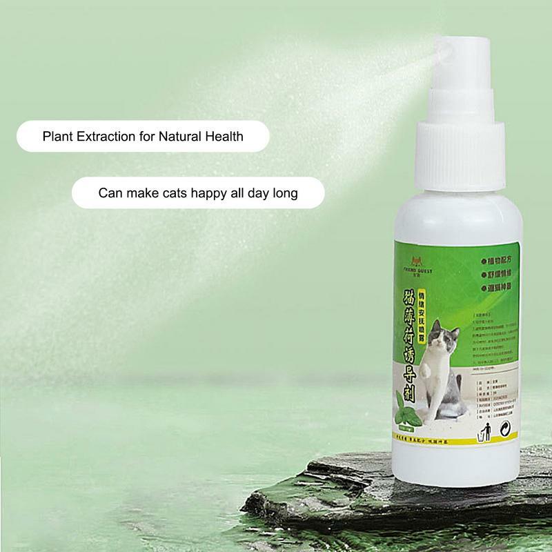 Spray de hierba gatera para gatos, ingredientes saludables para gatitos, gatos y atrayentes, fácil de usar y seguro para mascotas, regalos para mascotas, 50ml