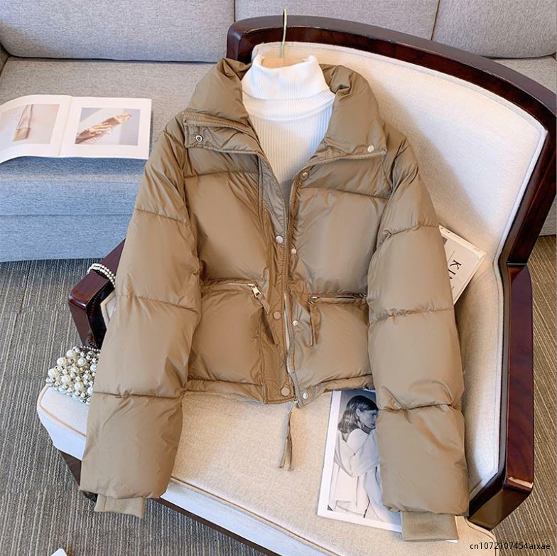 女性のための韓国のポリエステルジャケット,暖かいジッパー付きコート,厚い,無地,暖かい,パーカー