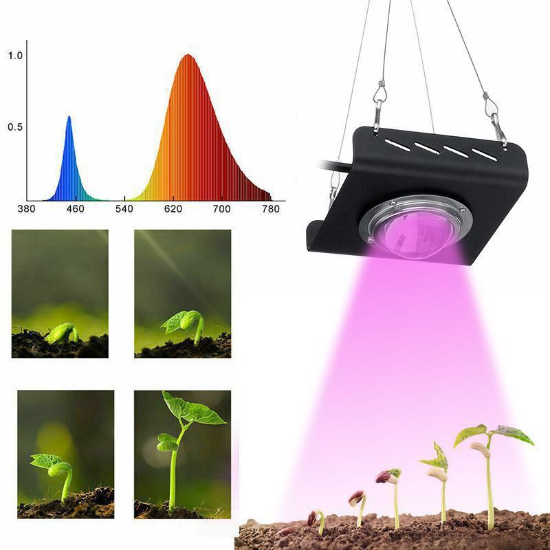 Full Spectrum COB LED Grow Light, Iluminação de crescimento vegetal para plantas de interior e suculentas flores, Estufa, 50W