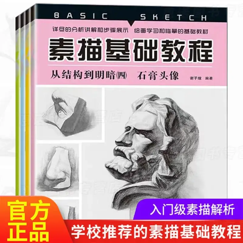 Basic Sketching Tutorial From Structure To Light and Dark Still Life Combination Gypsum Geometry Drawing Learning Textbook