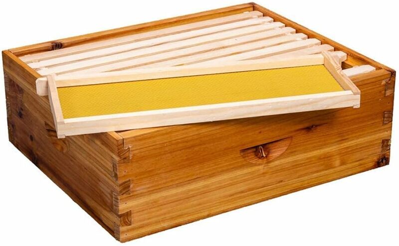 10-Frame Beehive Box Langstroth Medium Super Bee Box for Sale Wax Coated Bee Hives Includes Wooden Frames