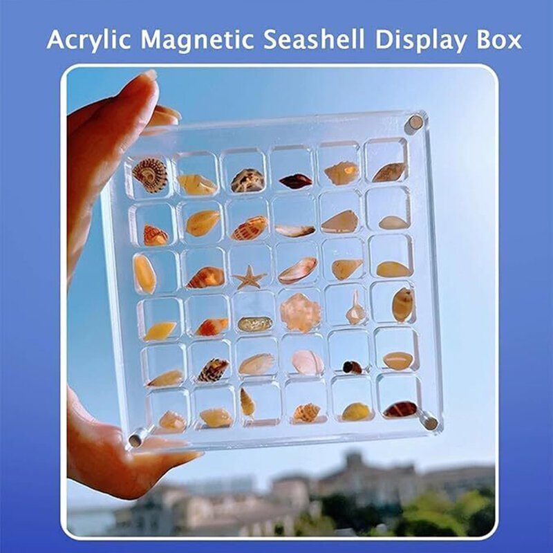 Acrylic Magnetic Seashell Display Box Decorative Acrylic Stackable Small Craft Organizers for Friends Family Birthday Gift