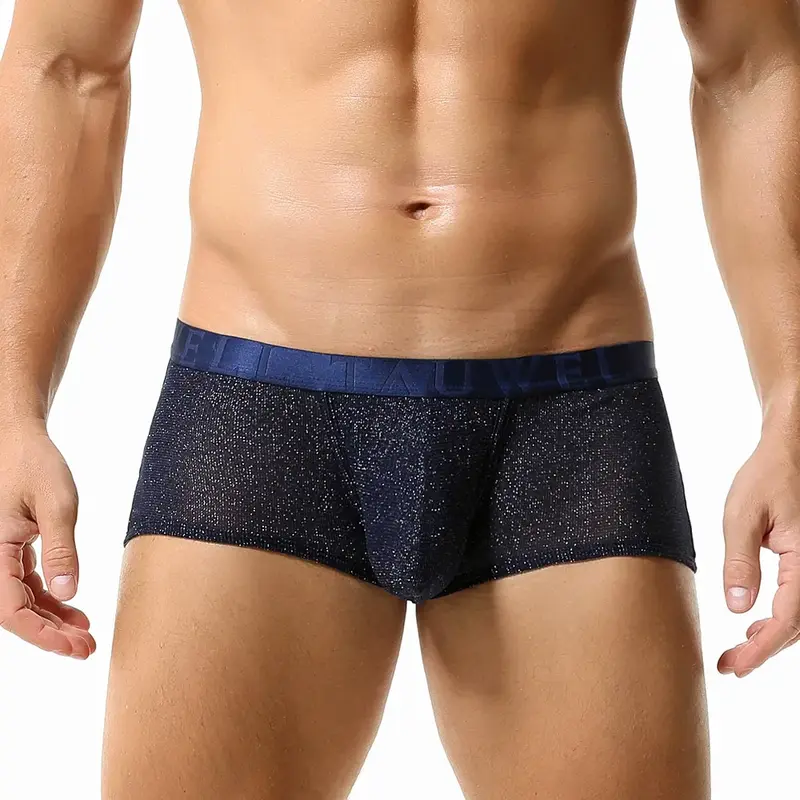 Shiny Underwear Men Sexy Underpants Bulge Pouch Panties Male Boxer Trunks Soft Sheer Lingerie Gay See Through Mesh Boxer Briefs