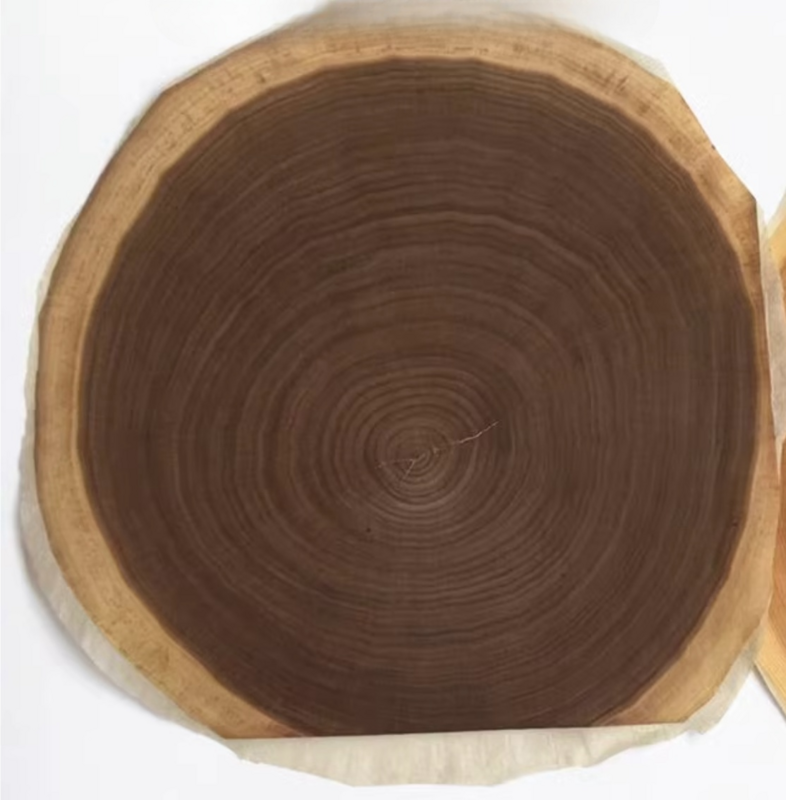 Cincin pohon kenari hitam alami Veneer kayu cincin tahunan indah Veneer dekoratif diameter luar: 380/520mm tebal: 0.3mm