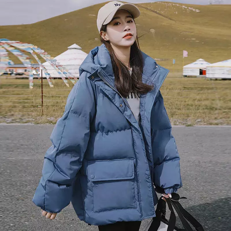 새로운 화이트 덕 푸퍼 후드 자켓 코트 여성용, 따뜻한, 블루 블랙, 겨울, 2023