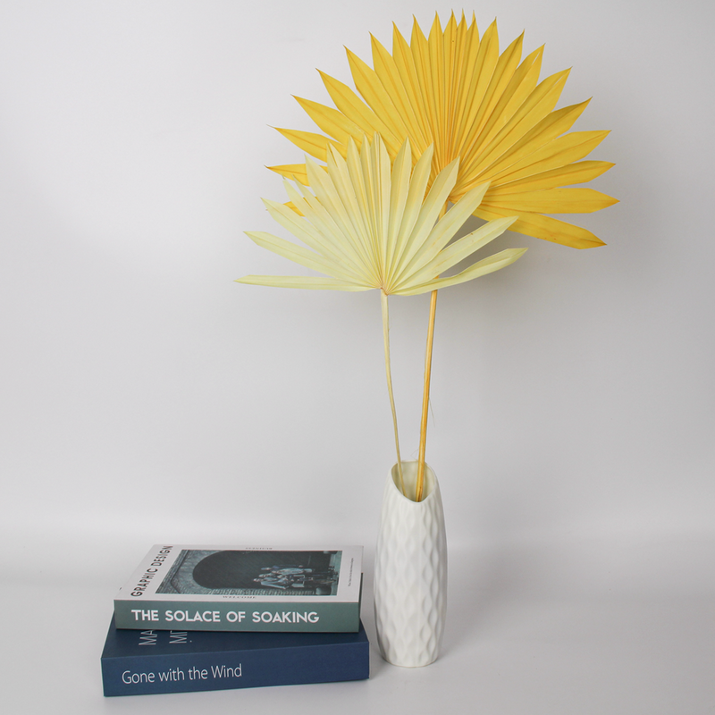 Nordic Stijl Home Decor Natuurlijke Gedroogde Bloemen Gedroogde Blad Kleine Zon Palm Speer Fan Voor Diy Ontwerp Voor Outdoor Decoratie