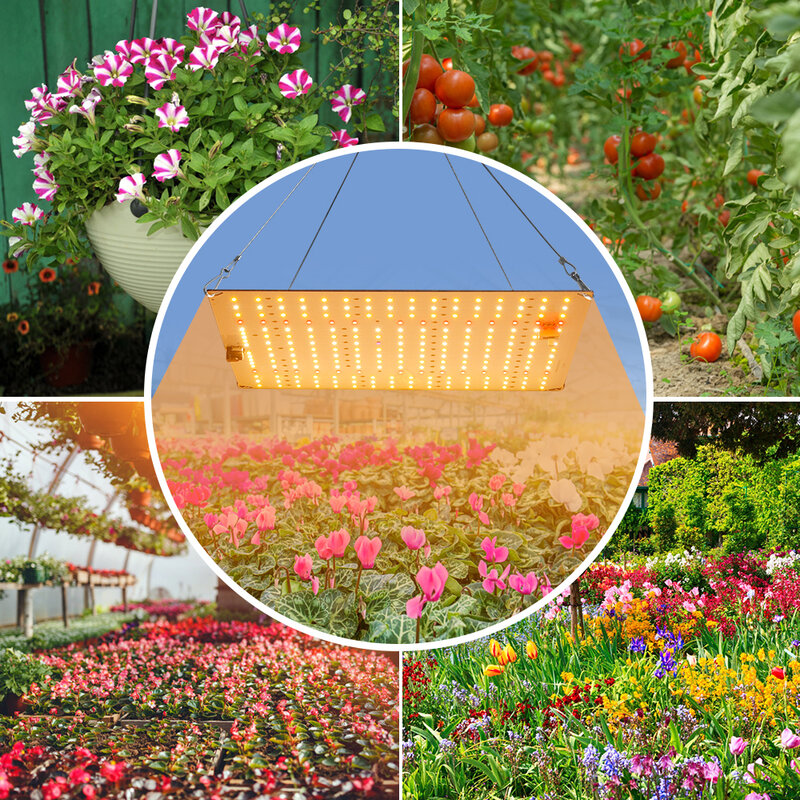 식물 전구용 LED 성장 조명 식물 램프, 전체 스펙트럼 양자 보드, 수경 재배 시스템, 온실 꽃 씨앗, 3000W