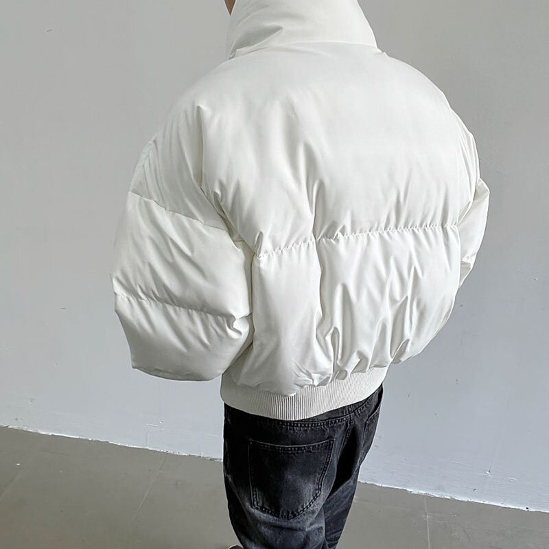 スタンドカラー付きの女性用厚手のジャケット,暖かい綿のパッド入りコート,カジュアル,冬用ジャケット,2022, 2024