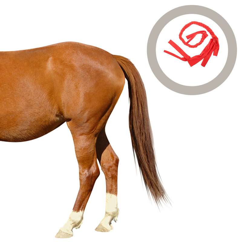 Borsa a coda di cavallo in treccia copertura protettiva professionale per coda di cavallo per cavallo