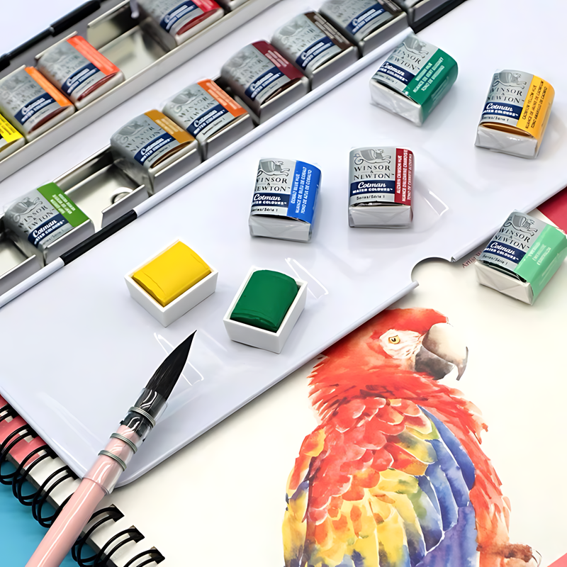 Winsor & Newton-Palette de voyage portable Cotman, pinceaux d'interconnexion solide, croquis de peinture, demi-casserole, fournitures d'art, 12 documents