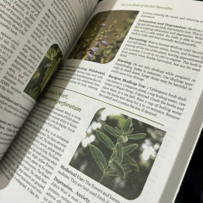 الكتاب المفقود للعلاجات العشبية ، قوة الشفاء من الطب النباتي ورقي الغلاف
