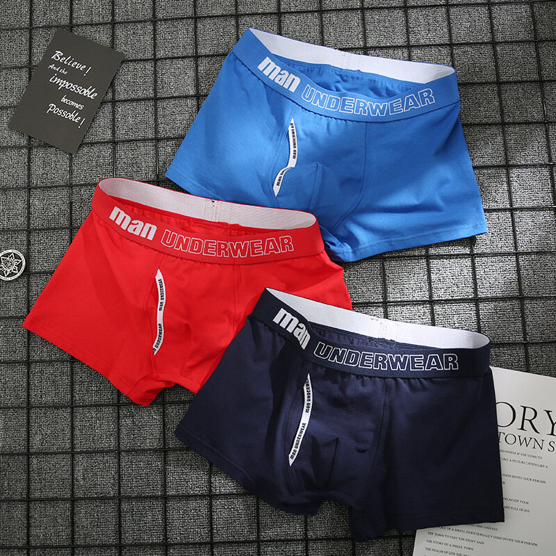Boxer en Coton Pur pour Homme, Sous-Vêtement Confortable, Grande Taille 4XL