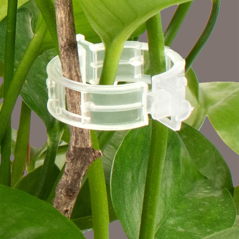 100 Stuks Plant Ondersteuning Clips Plastic Banden Trellis Paal Clips Tuin Vegetarie Tomaat Kas Houder Voor Tuingereedschap Accessoires