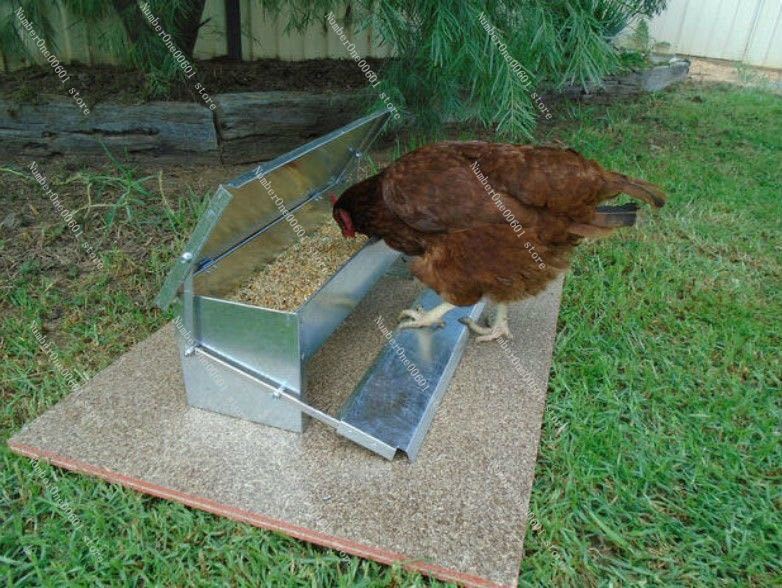 Automatic Chicken Feederfor Chickens Ducks and Geese Feed Trough Rainproof Feeding Artifact Breeding Equipment for Chickens
