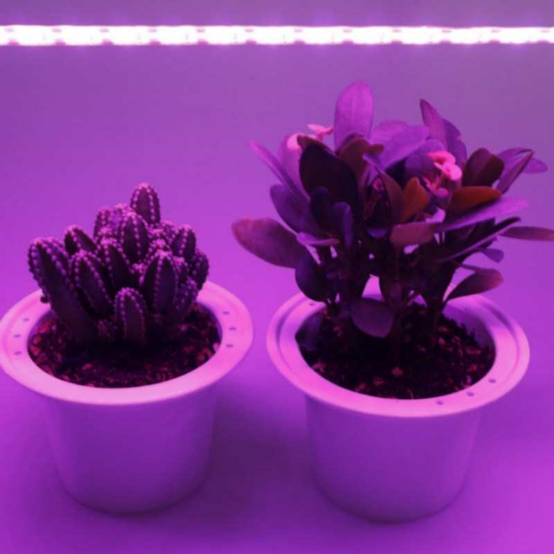 LED 전체 스펙트럼 성장 조명, 5V, USB 식물 성장을 위한 램프, 40m 길이 2835 LED, 온실 수경 재배