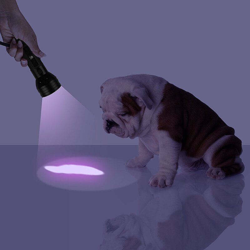 Senter Uv Led 51 Leds 395Nm Lampu Senter Ultra Violet Detektor Lampu Hitam untuk Anjing Urin Hewan Peliharaan Noda dan Bed Bug