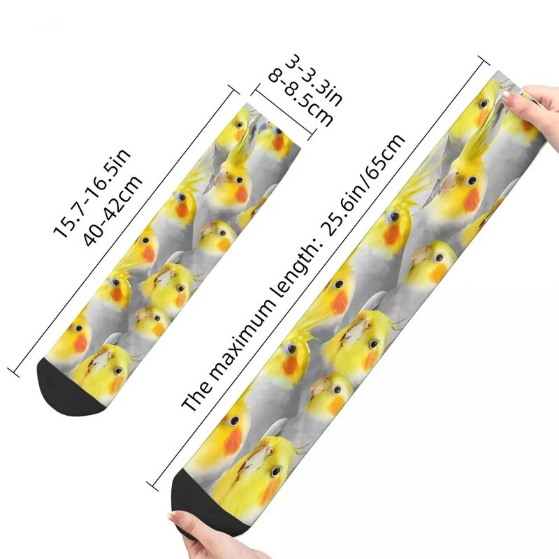 Kaus kaki pria motif kerumunan Cockatiel Retro kaus kaki burung peliharaan burung peliharaan uniseks pola baru dicetak Lucu hadiah kaus kaki Kru