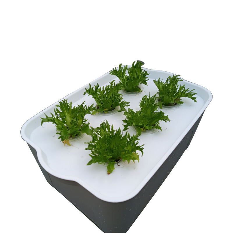 Smart Hydroponics Growing System Vegetable Planting Box Soilless Cultivation Equipment Aerobic System Large Planter Installation