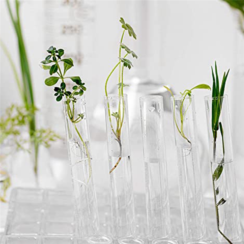 Packung mit 40 Kunststoff-Reagenz gläsern mit Korken 20ml Reagenz gläser für Blumen, für DIY Craft Candy Liquids Gewürze Blumen, x 16mm