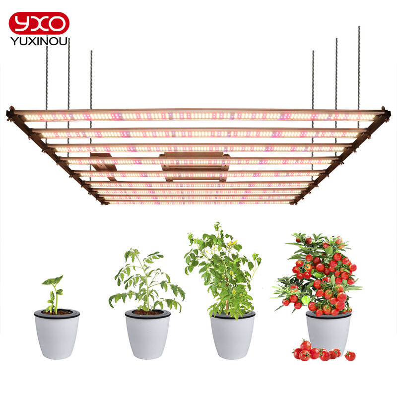 Barra de luz LED Quantum Tech para cultivo de plantas de interior, lámpara UV IR de espectro completo, 320w, 650w, Samsung LM301H, V5