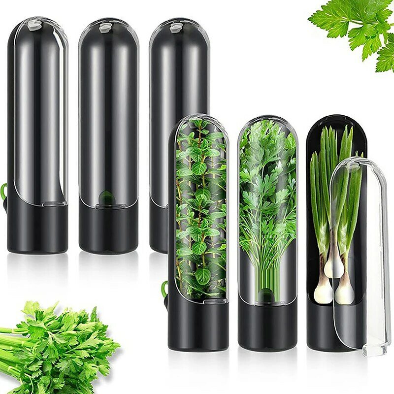 Vegetable Preserving Box Herbal Preserving Herb Storage Bottle Home Kitchen Gadget Fresh For Storing Kitchen Supplies