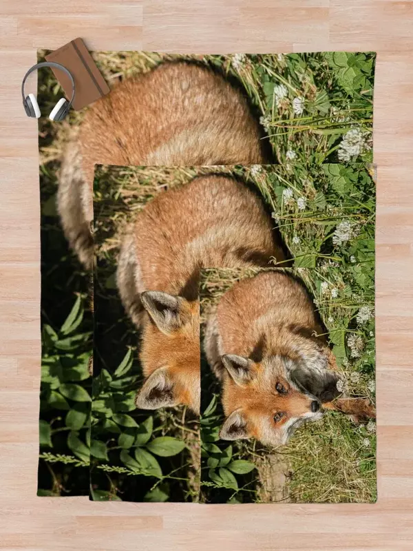 Beautiful red fox Throw Blanket Camping Thermals For Travel Soft Plaid Warm Blankets