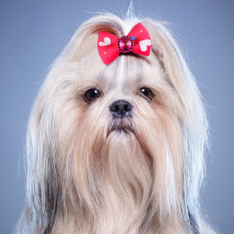 POPETPOP 50pcs Hair Ties Rubber Bands Bows For Hair Bowknot Headwear Headdress for Pets Cat Dog (Random Style)