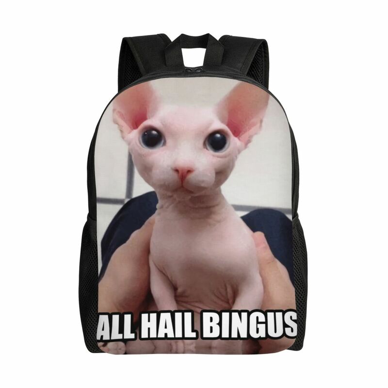 All Hail Bingus 노트북 배낭 남녀공용 기본 책가방, 대학생용 재미있는 스핑크스 고양이 밈 가방