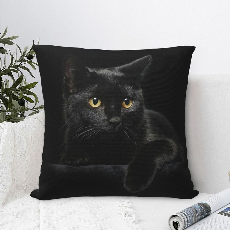 Black Cat Square Pillowcase Pillow Cover Polyester Cushion Zip Decorative Comfort Throw Pillow for Home Living Room