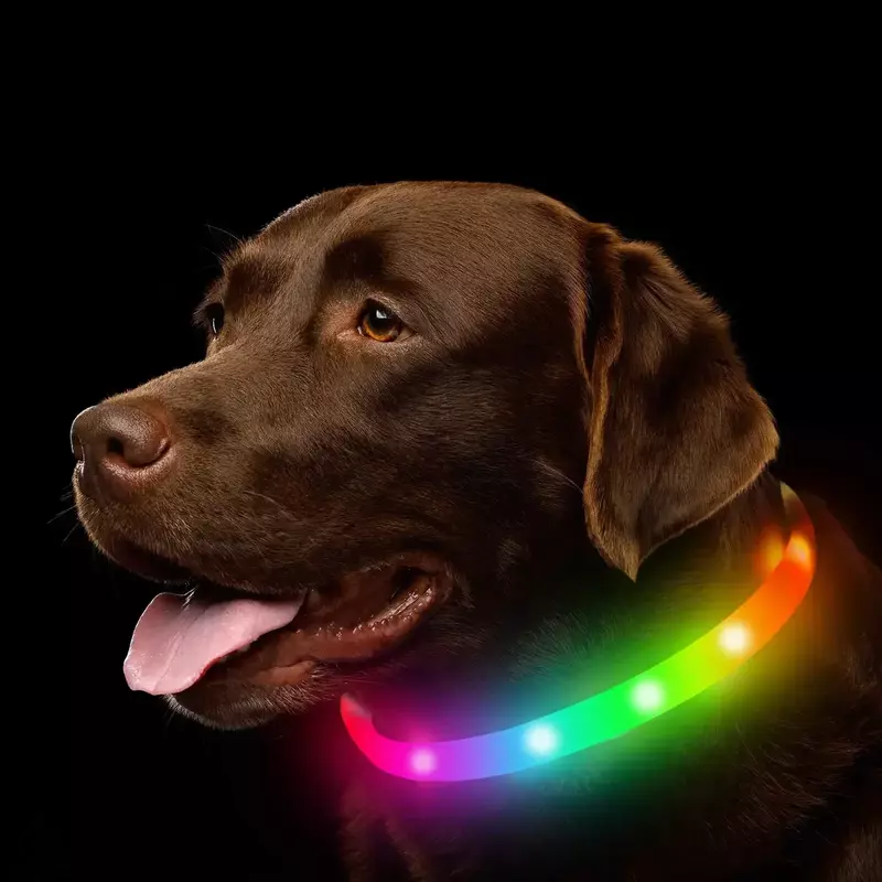 犬の首輪,シリコンLED,USB,充電式,照明,紛失防止,車の保護,安全性,ペットのライト,犬のアクセサリー