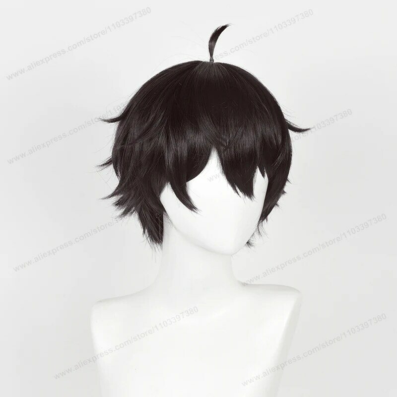 HSR-Perucas e perucas resistentes ao calor Daieng Anime, peruca cosplay masculina Dun Heng, cabelo preto e castanho, 30cm