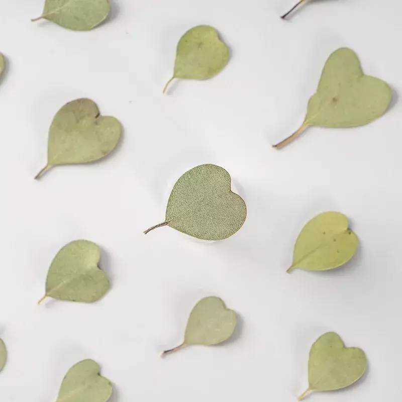 Hoja de eucalipto en forma de corazón, flor seca natural prensada, manual, cera de aromaterapia, marcapáginas de boda y Navidad, 2,5-4cm/12 piezas
