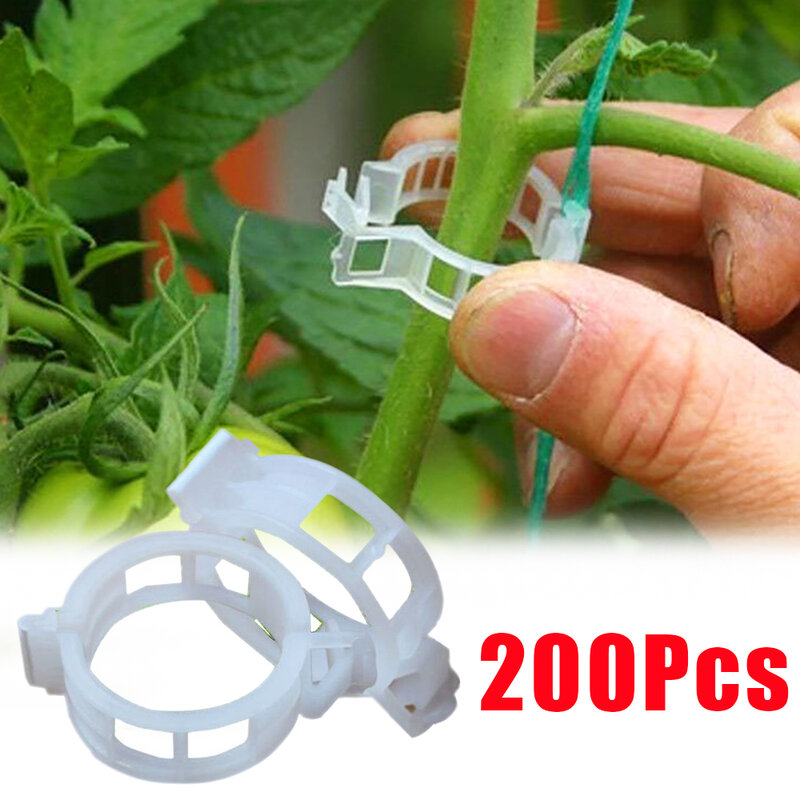 プラスチック製の植物サポートクリップ,200または50個のセット,再利用可能な植木鉢または植物用の固定クリップ,垂直成長用ツール