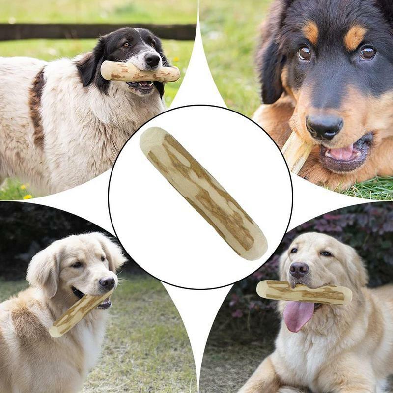 Il legno del cane mastica il bastone di legno del caffè per i giocattoli di masticazione dell'animale domestico dei cani per l'intrattenimento e la pulizia dei denti massaggiagengive lenitive dure